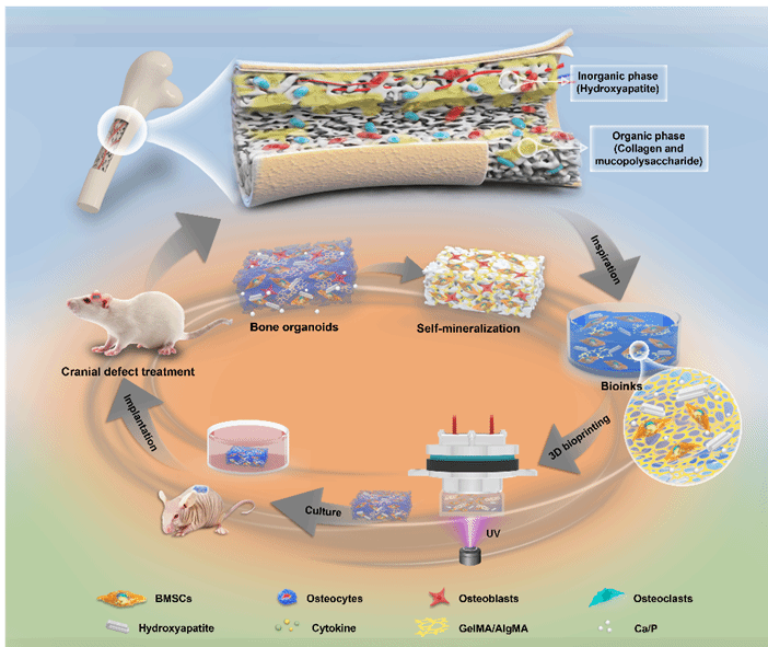 亚游集团·ag8(中国游)官网 -只為非同凡享