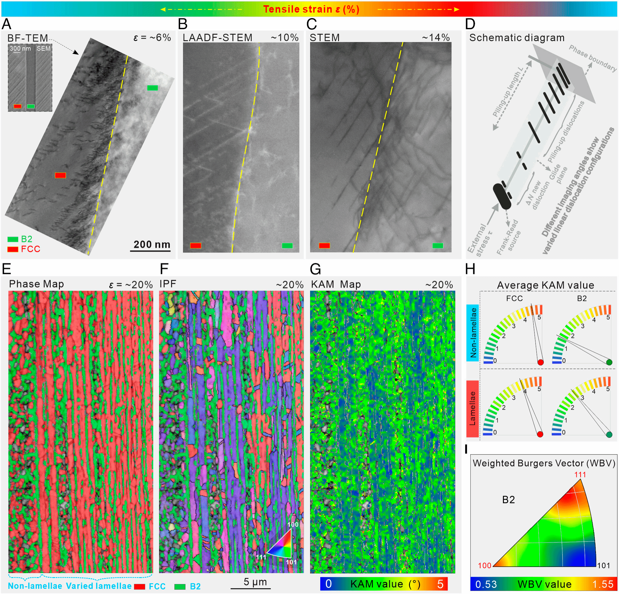 亚游集团·ag8(中国游)官网 -只為非同凡享
