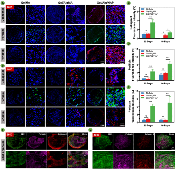 亚游集团·ag8(中国游)官网 -只為非同凡享